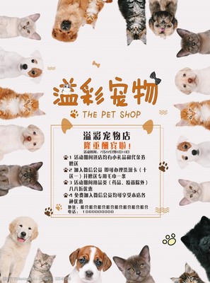 专业宠物服务，呵护爱宠健康与快乐