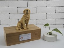 上海金桥宠物诊所 互联网数据服务的创新应用与价值